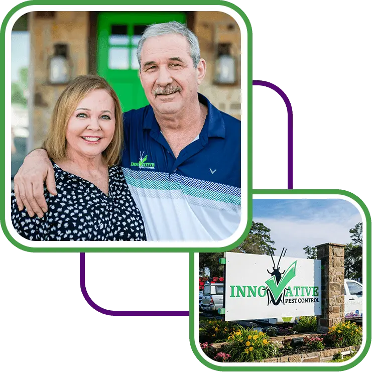 Innovative pest control founders