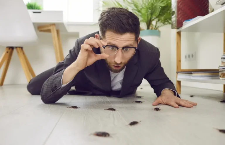 Man inspecting multiple cockroaches crawling across an indoor floor.