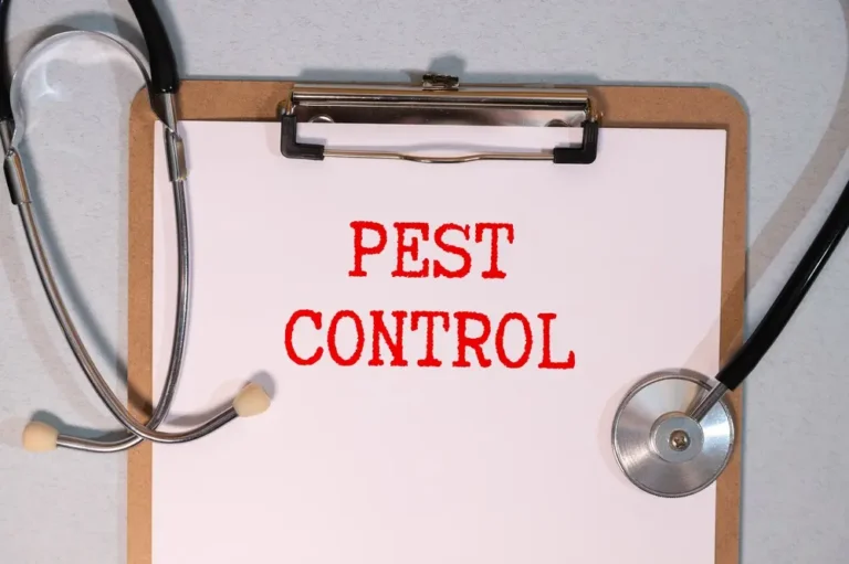 Clipboard with pest control text representing indoor fall pest prevention tips