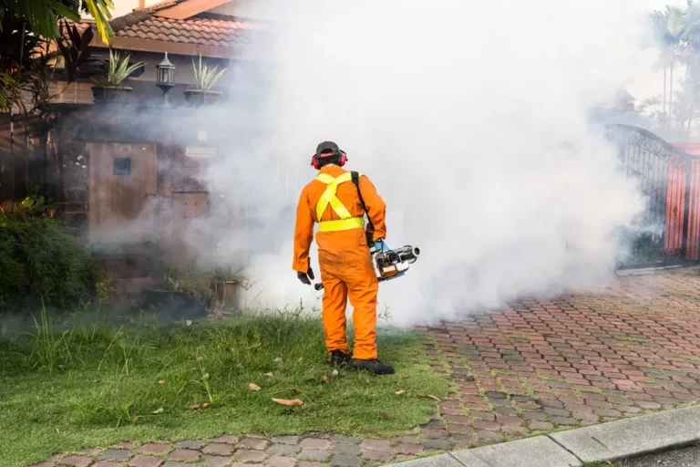Pest control worker performing mosquito control fogging outdoors