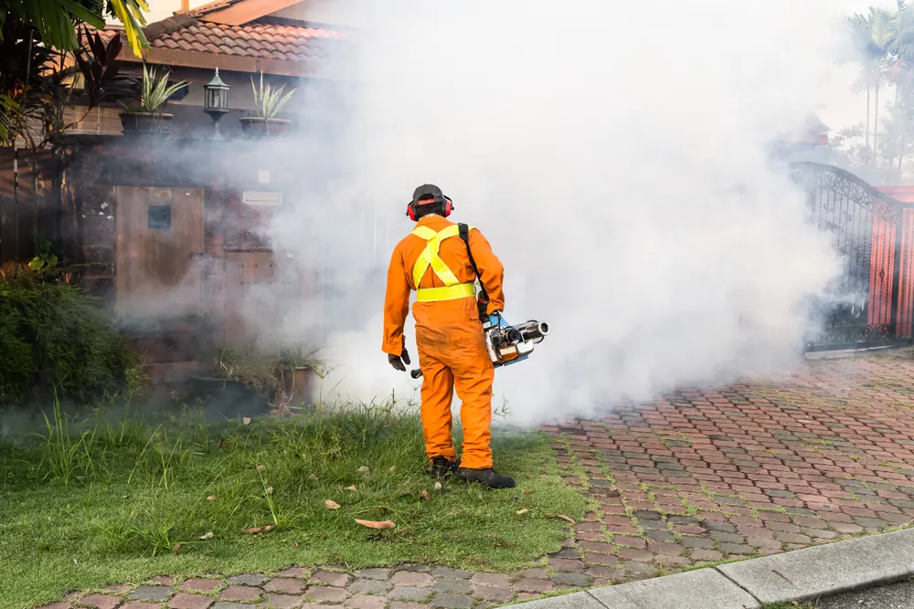 Pest control worker performing mosquito control fogging outdoors