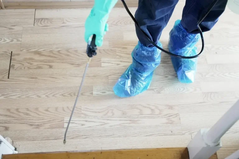 Homeowner applying outdoor treatment as part of pest prevention plan.