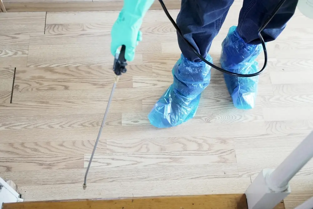 Homeowner applying outdoor treatment as part of pest prevention plan.