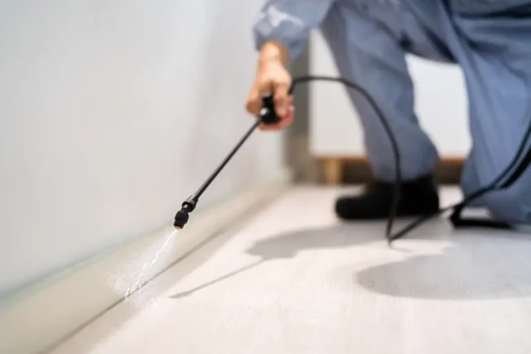 Technician applying professional flea treatment along baseboards inside a home.