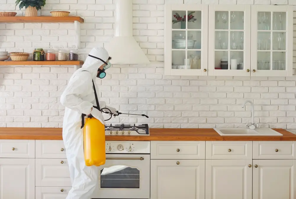 Pest control technician spraying kitchen surfaces during professional pest control service.