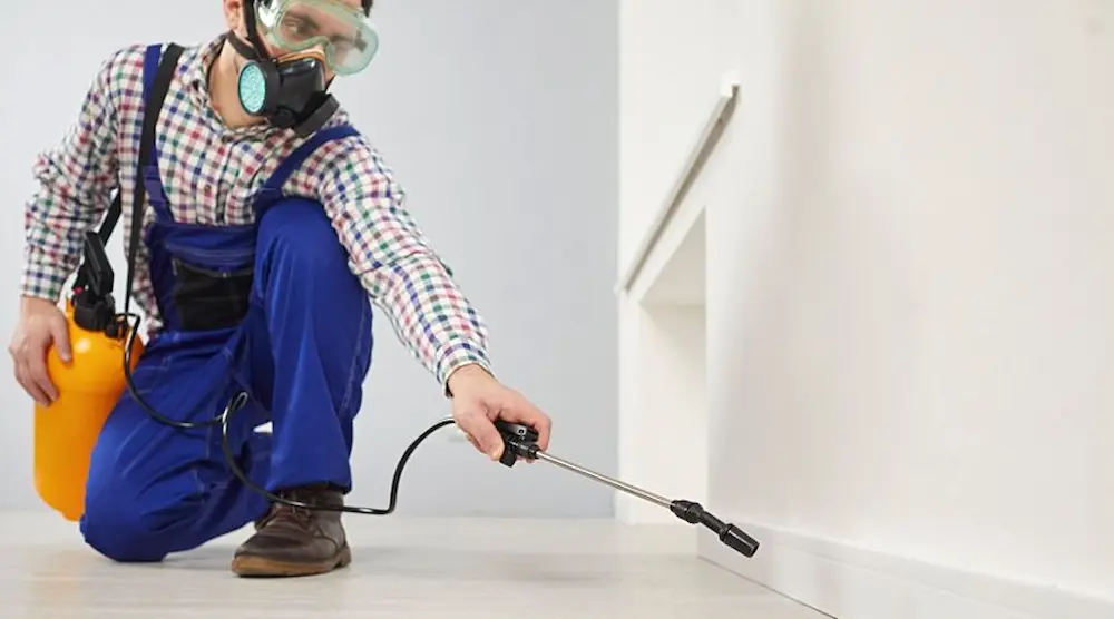 Technician applying indoor treatment along baseboards as part of professional pest control.