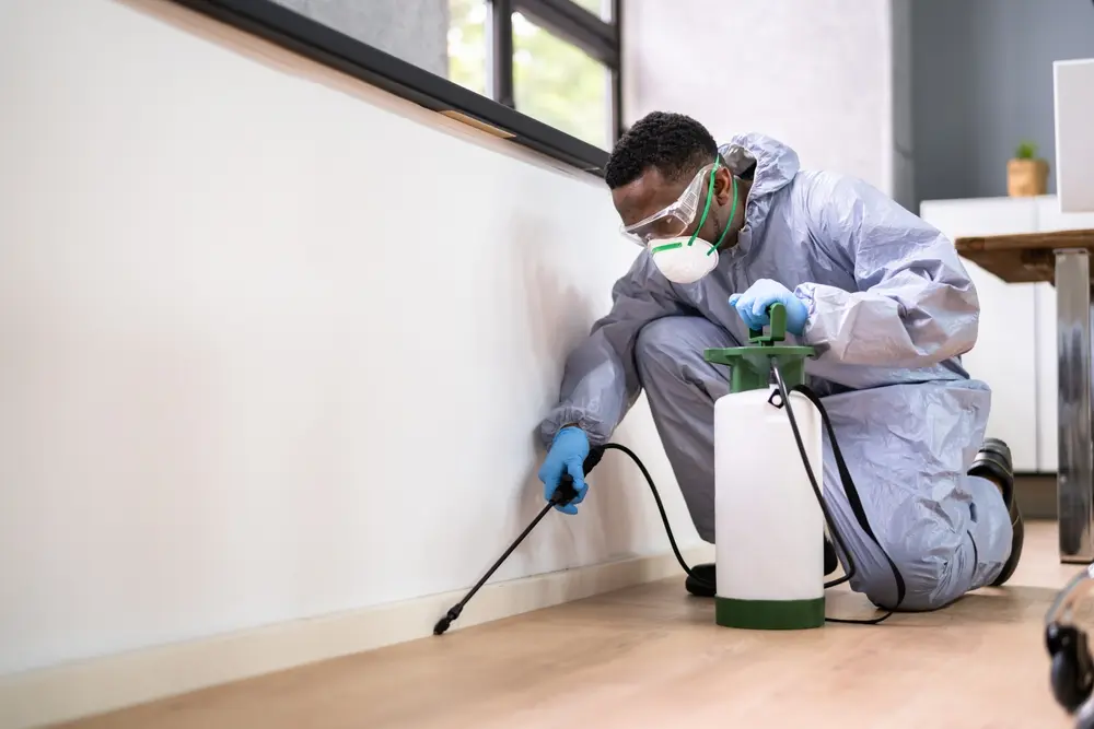 Pest control technician applying treatment along baseboards indoors to prevent and eliminate household pests.